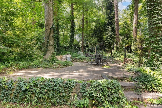 3942 Hickory Rd, Richmond, VA 23235 - view of yard