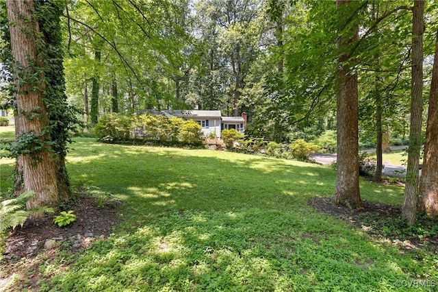 3942 Hickory Rd, Richmond, VA 23235 - photo 1