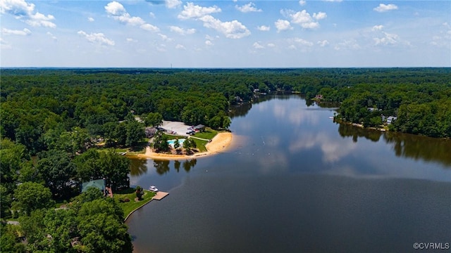 344 Land Or Dr, Ruther Glen, VA 22546 - drone / aerial view of a forest and a nearby body of water