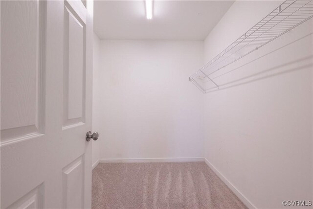 2312 Jahodi Pl, Henrico, VA 23231 - photo 30