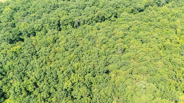 0 Chopping Rd, Mineral, VA 23117