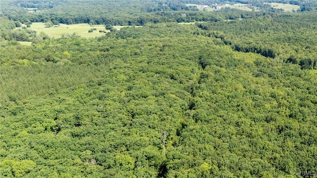 0 Chopping Rd, Mineral, VA 23117