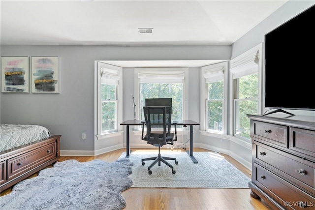 3608 Tyverton Ct, Henrico, VA 23233 - bedroom featuring multiple windows, light wood-style flooring, and an office area