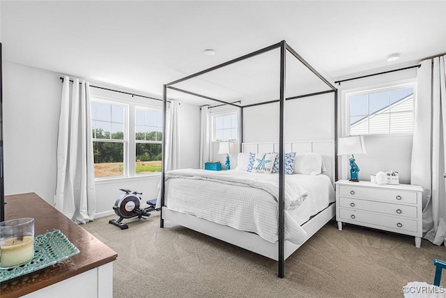 585 Rivanna Hill Rd, Glen Allen, VA 23060 - view of carpeted bedroom