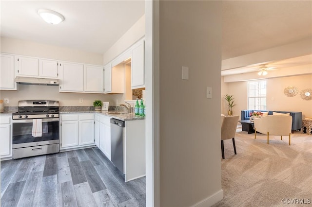 20 Madrone Pl, Hampton, VA 23666 - kitchen featuring appliances with stainless steel finishes, under cabinet range hood, white cabinetry, and light stone countertops