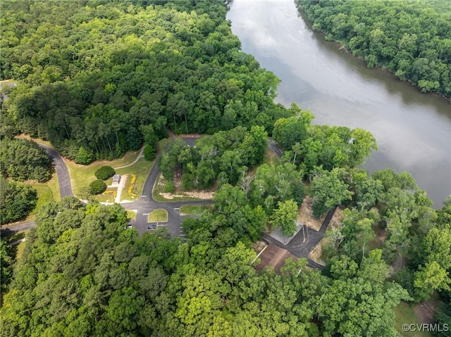 3731 Rivermist Ter, Midlothian, VA 23113 - view of property location featuring a large body of water and a heavily wooded area