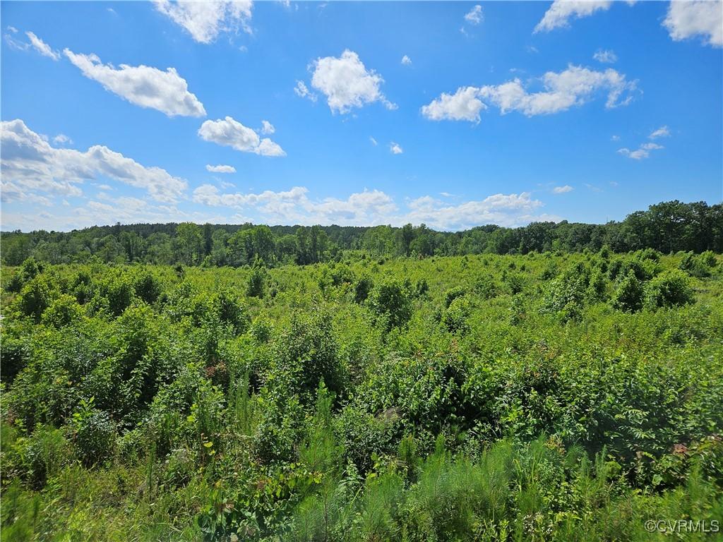 17.54ACRES Indian Oak Rd, Crewe, VA 23930 - photo 2