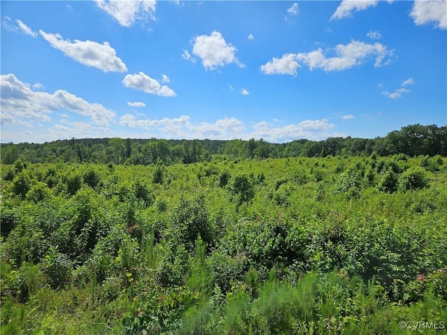 17.54ACRES Indian Oak Rd, Crewe, VA 23930 - photo 2