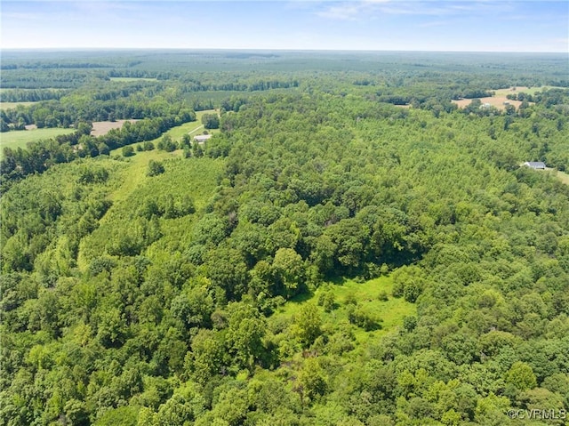 4867 Tabscott Rd, Kents Store, VA 23084 - bird's eye view of a heavily wooded area