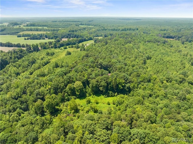 4867 Tabscott Rd, Kents Store, VA 23084 - bird's eye view of a forest