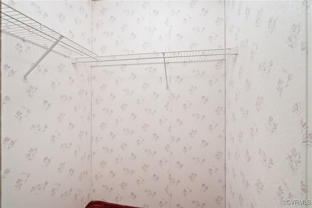 4867 Tabscott Rd, Kents Store, VA 23084 - view of spacious closet