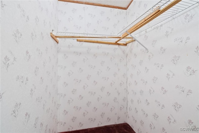 4867 Tabscott Rd, Kents Store, VA 23084 - view of spacious closet