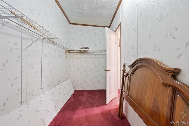 4867 Tabscott Rd, Kents Store, VA 23084 - walk in closet featuring carpet