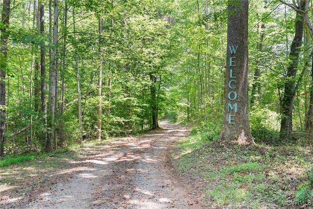 4867 Tabscott Rd, Kents Store, VA 23084 - view of street with a view of trees