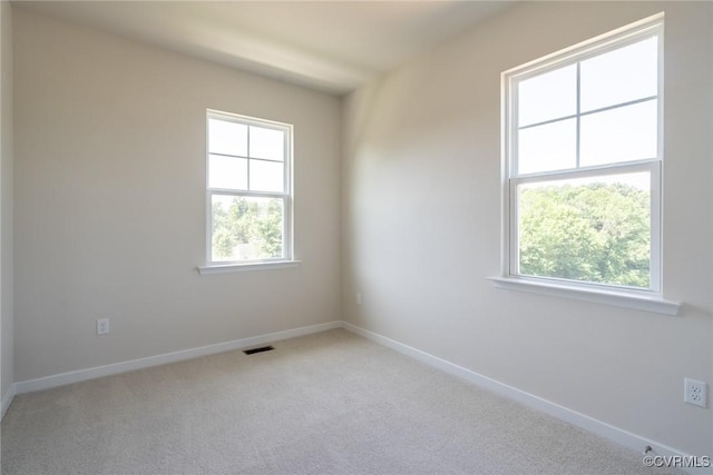14631 Hancock Towns Dr Unit N6, Chesterfield, VA 23832 - unfurnished room featuring plenty of natural light and light carpet
