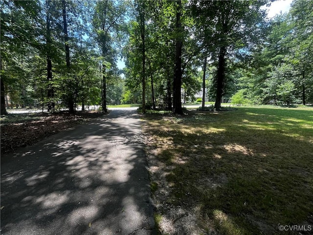 16200 Hunters Ridge Ln, Moseley, VA 23120 - view of road
