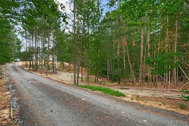 487 Deep Landing Rd, Tappahannock, VA 22560 - view of street