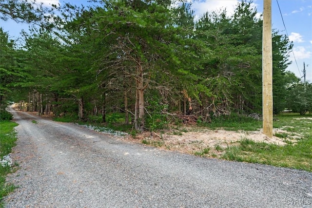 487 Deep Landing Rd, Tappahannock, VA 22560 - view of dirt / gravel road