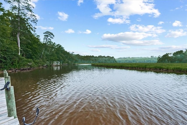 487 Deep Landing Rd, Tappahannock, VA 22560 - water view featuring a heavily wooded area