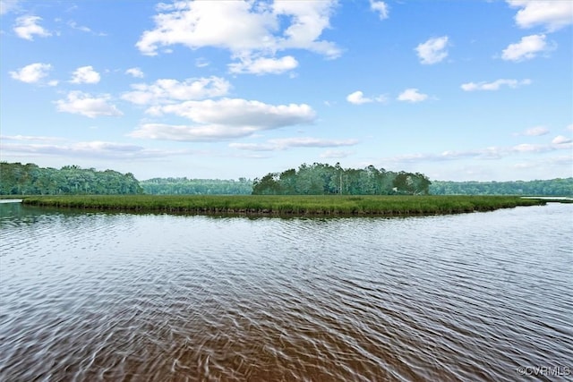 487 Deep Landing Rd, Tappahannock, VA 22560 - water view with a heavily wooded area