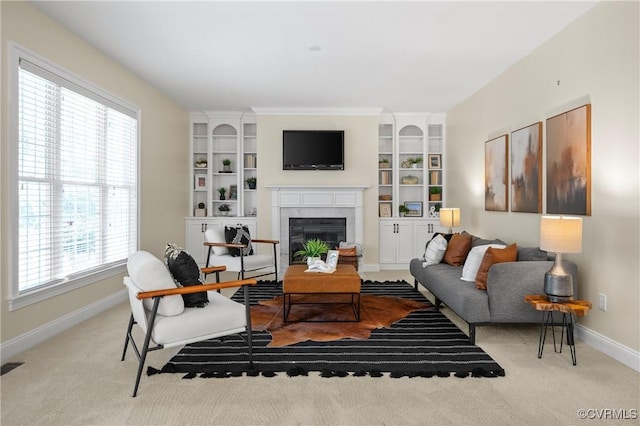 4313 Nevil Bend Turn, Moseley, VA 23120 - carpeted living room featuring baseboards and a glass covered fireplace
