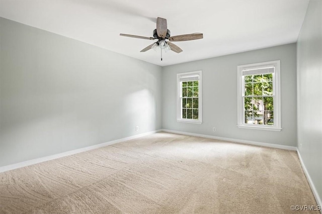 13920 Sandy Oak Rd, Chester, VA 23831 - photo 41