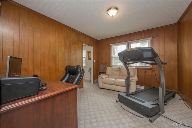 916 Forestview Dr, Colonial Heights, VA 23834 - exercise room featuring wood walls, light carpet, and ornamental molding