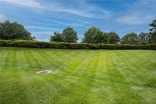 1024 Belva Ct, Glen Allen, VA 23060 - photo 6