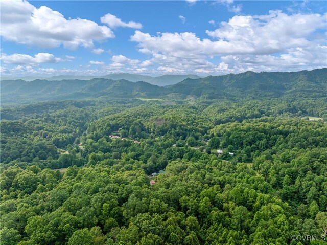 326 Gobblers Knob Dr, Keokee, VA 24265 - photo 48