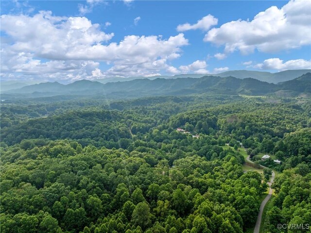 326 Gobblers Knob Dr, Keokee, VA 24265 - photo 49