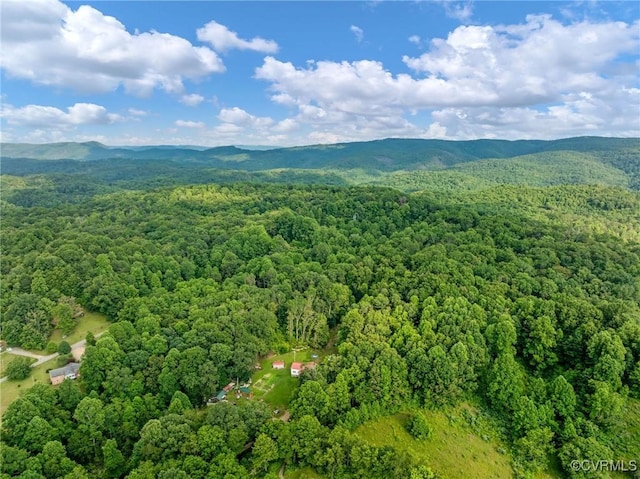 326 Gobblers Knob Dr, Keokee, VA 24265 - photo 4