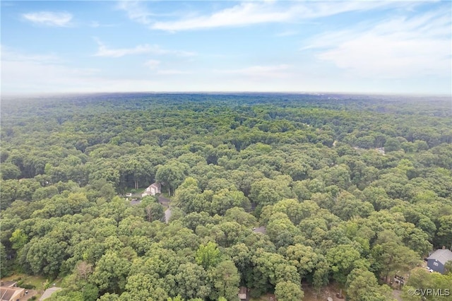 3949 Llewellyn Ln, Chesterfield, VA 23832 - bird's eye view of a forest