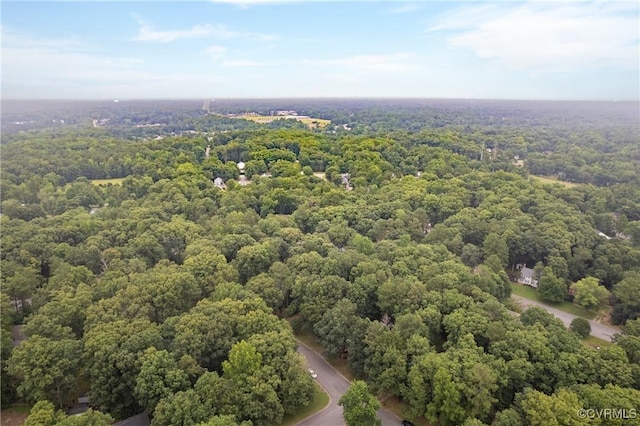 3949 Llewellyn Ln, Chesterfield, VA 23832 - bird's eye view of a forest