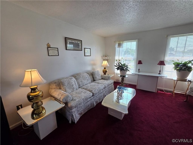 4104 Farm Creek Ter, Henrico, VA 23223 - carpeted living room with a textured ceiling and baseboards