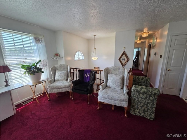 4104 Farm Creek Ter, Henrico, VA 23223 - sitting room with a textured ceiling and carpet flooring