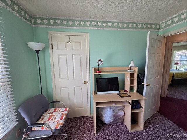4104 Farm Creek Ter, Henrico, VA 23223 - office with carpet flooring, a textured ceiling, and ornamental molding