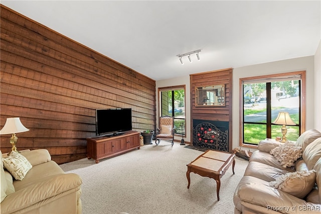 10000 Silverleaf Ter, Chesterfield, VA 23236 - living room featuring light carpet and wooden walls
