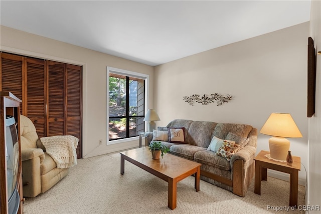 10000 Silverleaf Ter, Chesterfield, VA 23236 - living room with light carpet