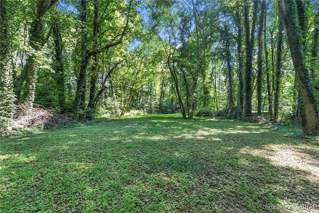 10000 Silverleaf Ter, Chesterfield, VA 23236 - view of green lawn