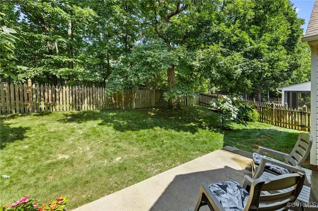 818 Krim Point Loop, Midlothian, VA 23114 - fenced backyard with a patio area