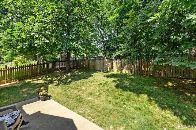 818 Krim Point Loop, Midlothian, VA 23114 - fenced backyard featuring a patio area
