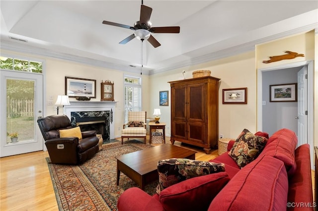 818 Krim Point Loop, Midlothian, VA 23114 - living room featuring a raised ceiling, light wood-style flooring, a ceiling fan, and a fireplace