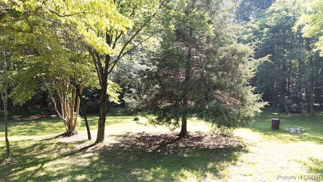 1026 Hoecake Rd, Lancaster, VA 22513 - view of green lawn with a forest view