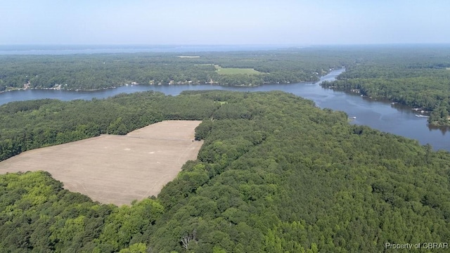 1026 Hoecake Rd, Lancaster, VA 22513 - aerial view of a forest and a large body of water