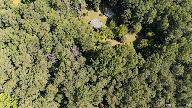 1026 Hoecake Rd, Lancaster, VA 22513 - view of property location with a forest