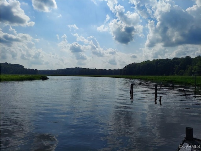 25122 S Tidewater Trl, Tappahannock, VA 22560 - water view with a heavily wooded area