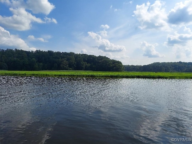 25122 S Tidewater Trl, Tappahannock, VA 22560 - water view with a heavily wooded area