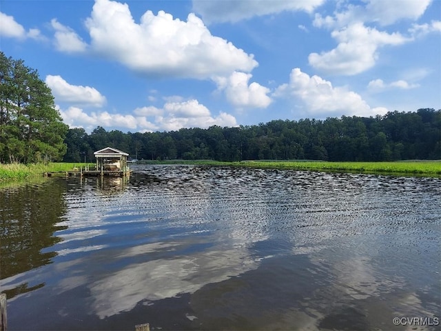 25122 S Tidewater Trl, Tappahannock, VA 22560 - water view featuring a forest
