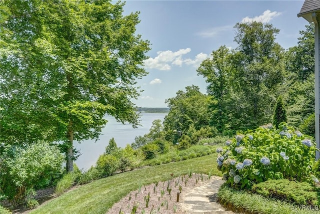 310 Old Fraziers Trl, West Point, VA 23181 - photo 43