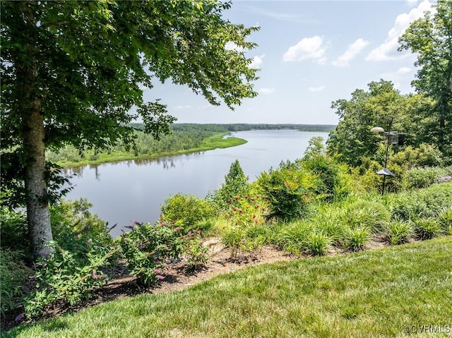 310 Old Fraziers Trl, West Point, VA 23181 - photo 44